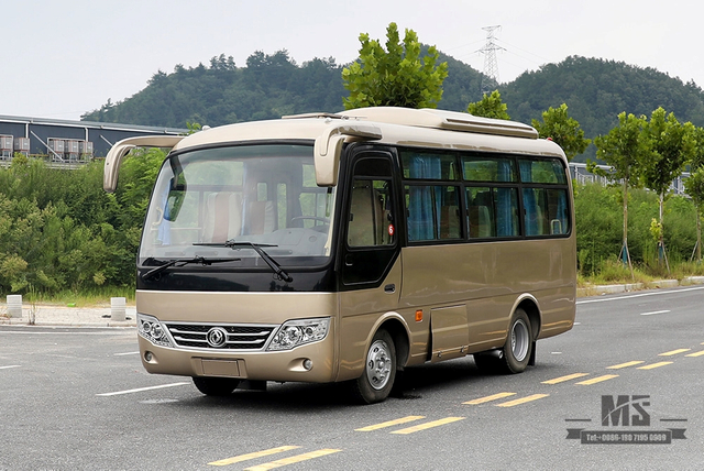 6m Single-axle Village Bus_Dongfeng 19-seater Medium-sized Bus_Export 115hp Countryside Bus