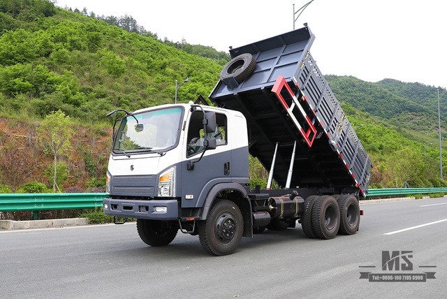 Dongfeng 260hp Six Wheel Drive Tipper Truck_Single Row Pointed Head Dump Truck 6*6 Mining Trucks for sale_Dongfeng AWD Export Special Vehicle