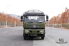 210hp Dongfeng 6*4 Off Road Truck _Dongfeng 6x4 Flathead One-and-a-half Cargo Truck With tarpaulin pole_Export Special Vehicle