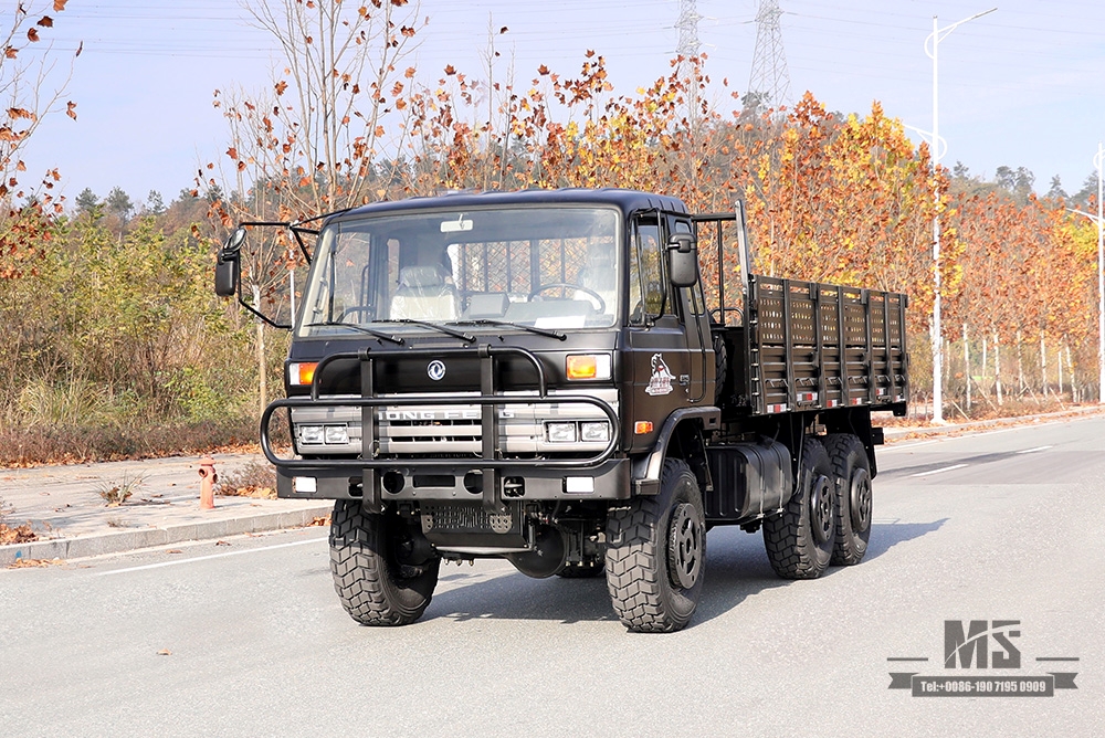 Dongfeng Six wheel Drive EQ2102 Truck_190 HP 3.5T Three-axle Six wheel Drive Black Off-road Cargo Truck_All-wheel drive EQ2102G Export Special Purpose Vehicle