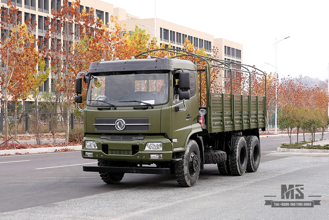 210hp Dongfeng 6*4 Off Road Truck _Dongfeng 6x4 Flathead One-and-a-half Cargo Truck With tarpaulin pole_Export Special Vehicle