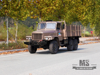 Classic EQ2082 Champagne Color Vehicle 6x6 Dongfeng pointed single row Mining Trucks Special Purpose Vehicle