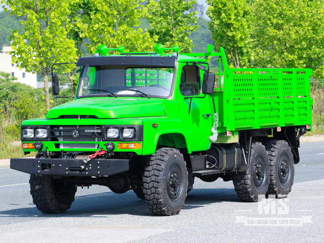 6X6 Dongfeng Turquoise EQ2082 SingleRow Cab Trucks 6WD Off-road Trucks