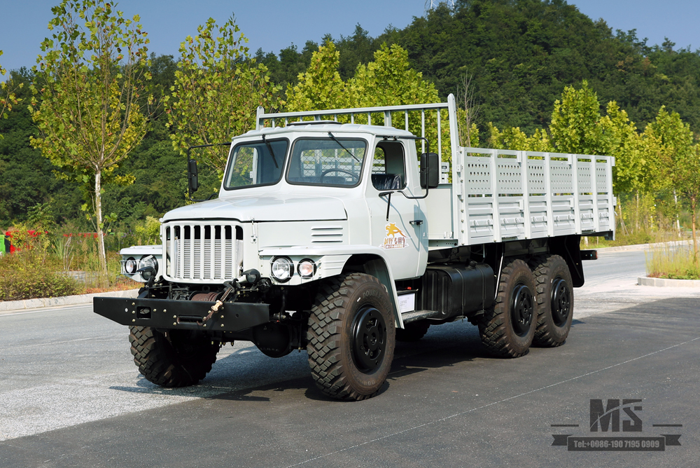 Dongfeng 3.5T Three Axle EQ2100 Six Wheel Drive Off Road Truck_6*6 Pointed Head Single Row Cargo Truck Transportation Truck for sale_Export Special Vehicle