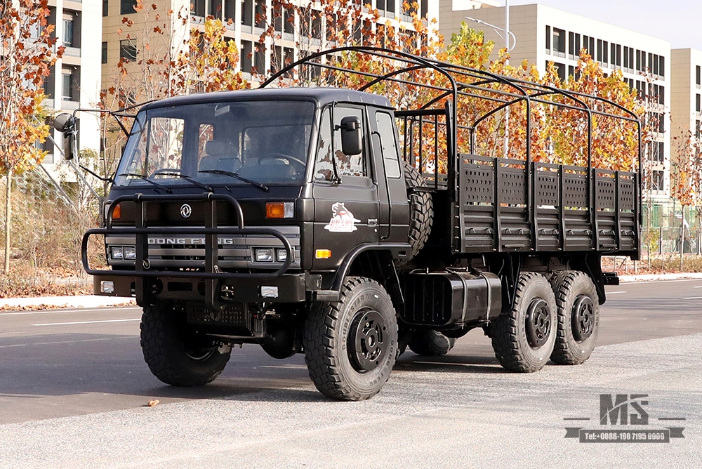 Dongfeng EQ2102 Off-road Three-axle Truck_190 HP Six wheel Drive Black Cargo Vehicle_All-wheel drive EQ2102G Export Special Purpose Vehicle