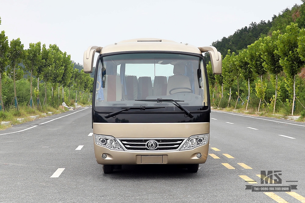 6m Single-axle Village Bus_Dongfeng 19-seater Medium-sized Bus_Export 115hp Countryside Bus