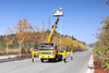 Dongfeng 4*2 Light Truck Tip Off-road Lifting Truck_Small trimming Sanitation Lifting Truck_Export Special Micro Vehicle