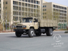 4x2 Off-Road Tip Truck | Cummins B190 33 (140KW) | 10T Rear Axle | 300L Fuel Tank