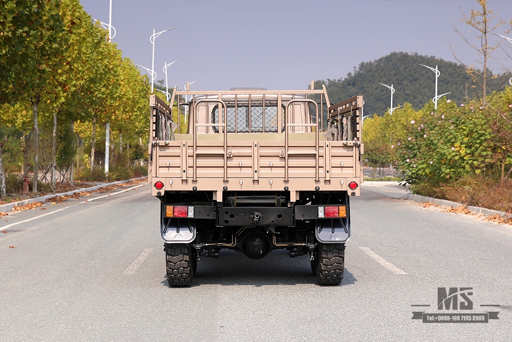 170 hp Dongfeng Champagne Gold EQ2082_six-wheel drive off-road special truck_Double glass pointed 240 transport vehicle_6×6 25Y truck export special vehicle