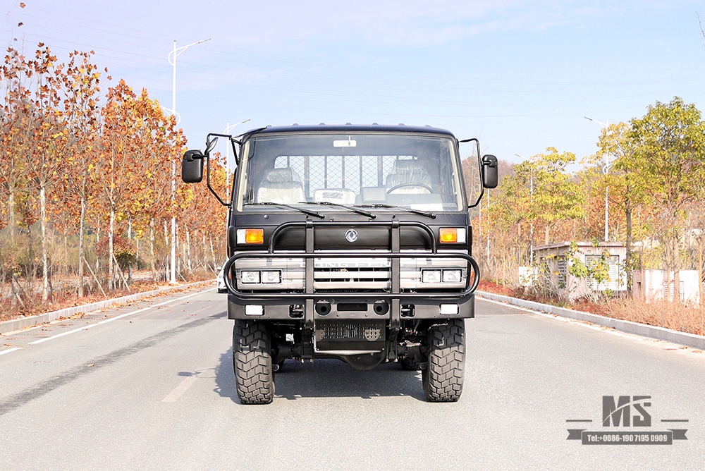 Dongfeng Six wheel Drive EQ2102 Truck_190 HP 3.5T Three-axle Six wheel Drive Black Off-road Cargo Truck_All-wheel drive EQ2102G Export Special Purpose Vehicle