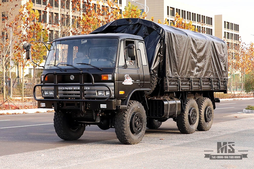 Dongfeng Six wheel Drive EQ2102 Off-road Truck_190 HP Three-axle Black Cargo Truck With Tarpaulin poles_All-wheel drive EQ2102G Export Special Purpose Vehicle