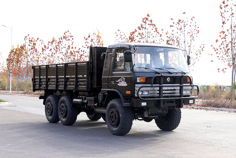 Dongfeng EQ2102 Off-road Truck_190 HP 3.5T Three-axle Six wheel Drive Black Cargo Vehicle_All-wheel drive EQ2102G Export Special Purpose Vehicle