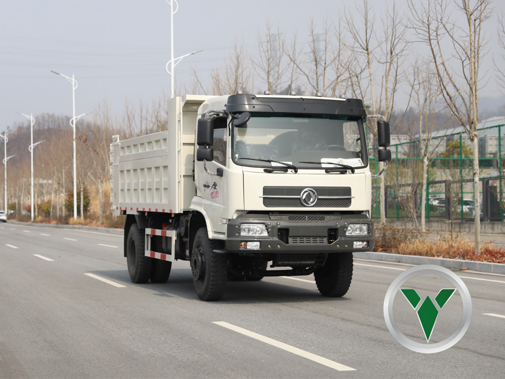 Tianjin 4x2 Dump Truck | Reliable & Affordable Light-Duty Tipper for Sale