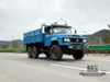 170 Hp Dongfeng EQ2082_Six-wheel Drive Off-road Special Truck_Double Glass Single Row 240 Transport Vehicle_6×6 Pointed 25Y Truck