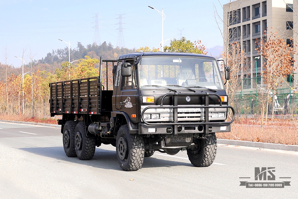 Dongfeng Six wheel Drive EQ2102 Truck_190 HP 3.5T Three-axle Six wheel Drive Black Off-road Cargo Truck_All-wheel drive EQ2102G Export Special Purpose Vehicle