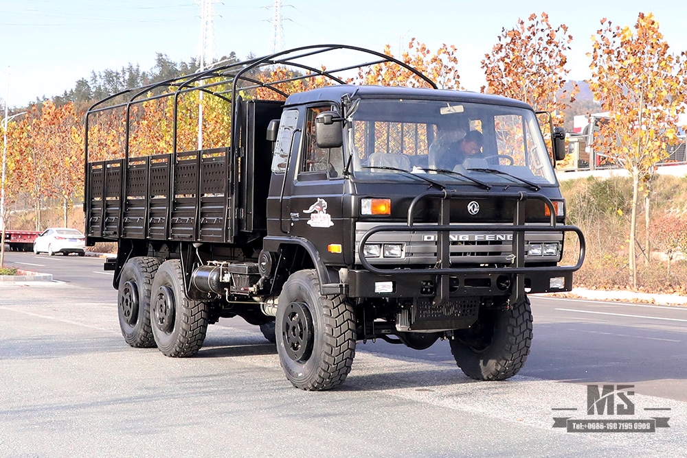 Dongfeng EQ2102 Off-road Three-axle Truck_190 HP Six wheel Drive Black Cargo Vehicle_All-wheel drive EQ2102G Export Special Purpose Vehicle