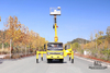 Dongfeng 4*2 Light Truck Tip Off-road Lifting Truck_Small trimming Sanitation Lifting Truck_Export Special Micro Vehicle