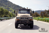 Dongfeng Four Wheel Drive Cargo Truck Long-head 2.5-ton Off-road Truck_4*4 New Pointed Cab Truck_Long-distance Truck with Winch Export Special Purpose Vehicle