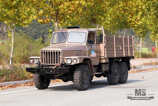 170 hp Dongfeng Champagne Gold EQ2082_six-wheel drive off-road special truck_Double glass pointed 240 transport vehicle_6×6 25Y truck export special vehicle