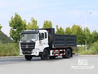 4&times;2 Flathead Dump Truck, Tipper for Construction & Mining