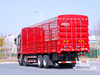 Dongfeng 31 Ton Flat-nose Extended Cab Stake Body Cargo Truck (500 HP) | Special Export Trucks 