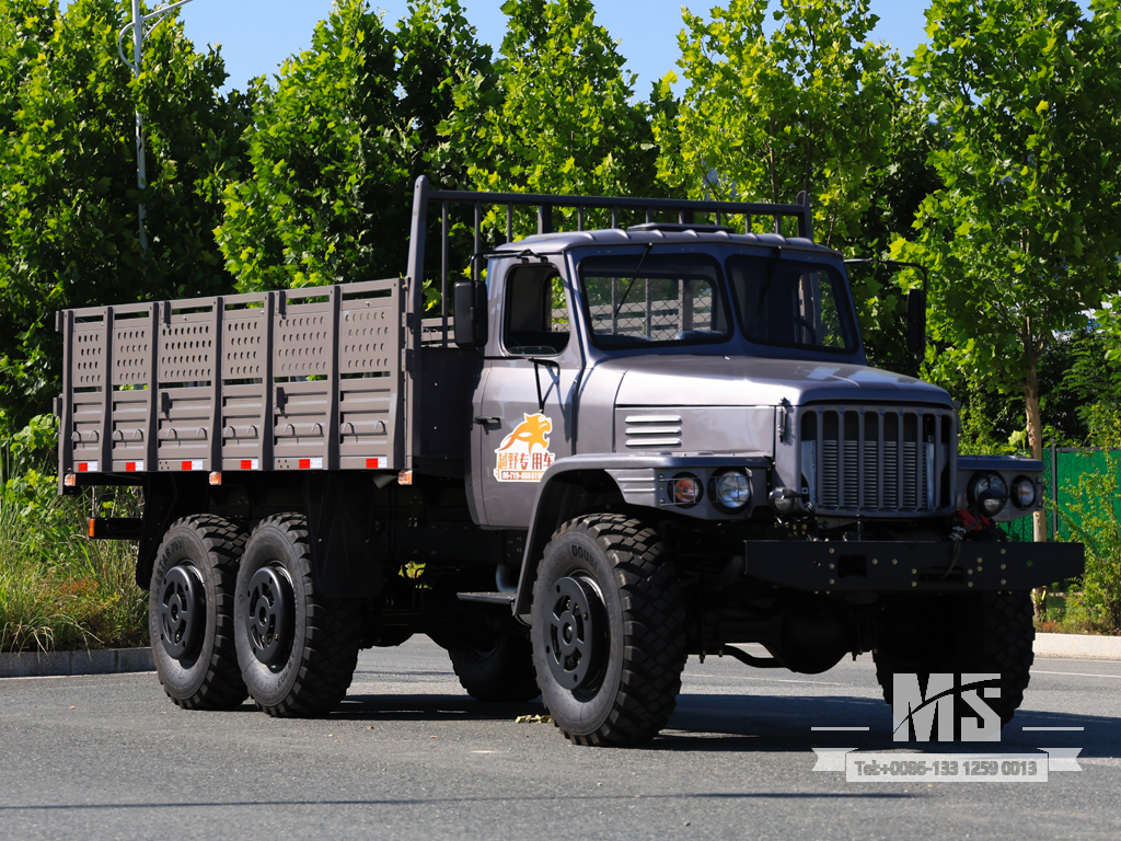Dongfeng 10 Ton Six-wheel-drive Long Nose Caogo Truck (190 HP) | Special Export Trucks 