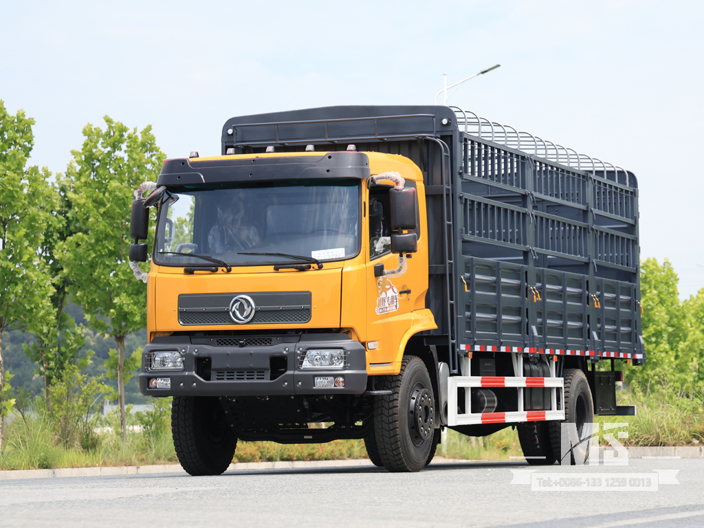 Dongfeng 19 Ton Flat Semi Cab Box-Type Transport Dump Truck (260 HP) | Special Export Trucks 