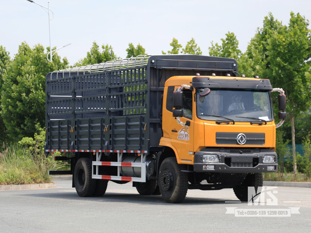 Dongfeng 19 Ton Flat Semi Cab Box-Type Transport Dump Truck (260 HP) | Special Export Trucks 
